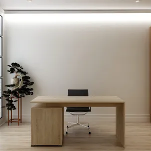 Professionally Organized and Designed Living Space - MianSolula Interior Design Florida